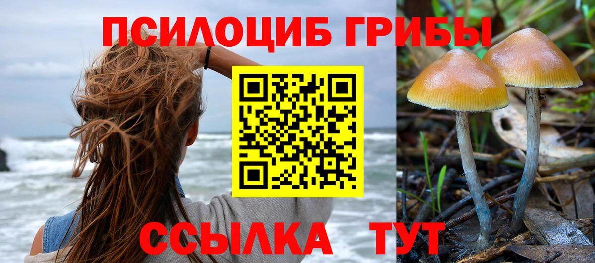 наркота  Псилоцибиновые грибы прущие грибы  Вход с VPN  Феодосия 