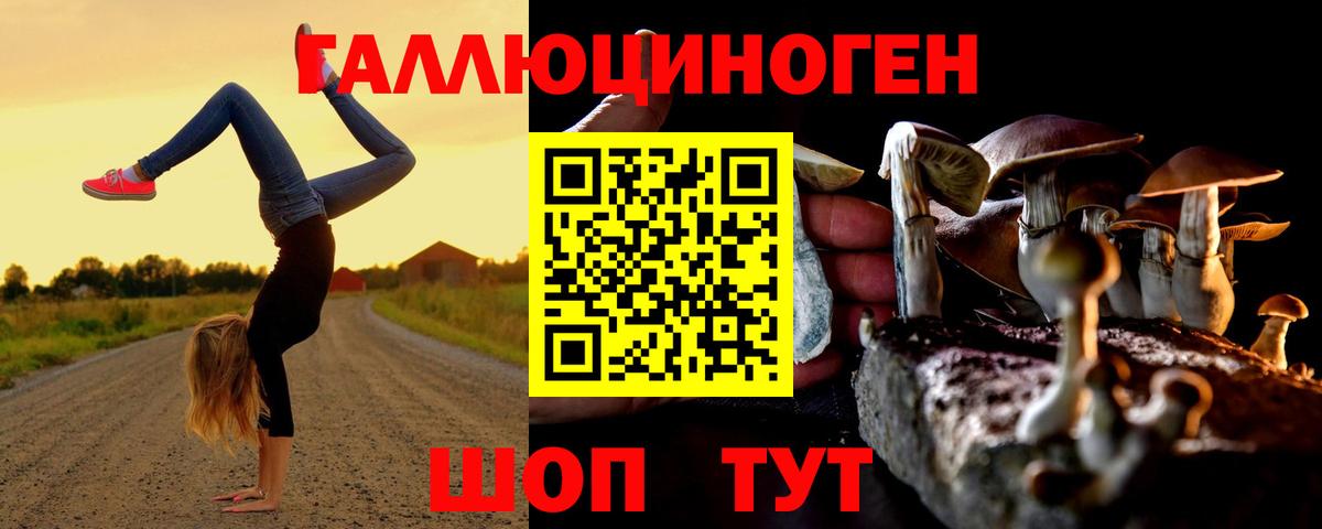Псилоцибиновые грибы прущие грибы Феодосия